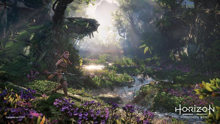 Produktbild Sony Horizon Forbidden West (PS4, EN)