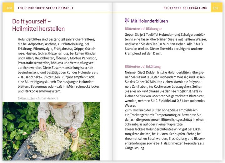 Immagine prodotto Holunder - Juwel der Hausapotheke. Kompakt-Ratgeber (Tedesco, Barbara Simonsohn, 2024)