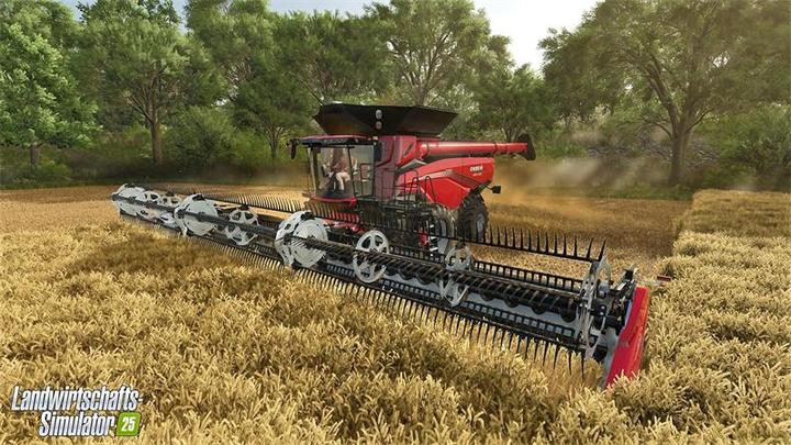 Immagine prodotto Microids Farming Simulator 25 XBSX (Xbox Series X)