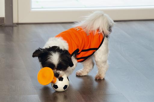 Actual product image Beeztees Bz Holland Air Horn HD Game 2 (Dog chew toy)