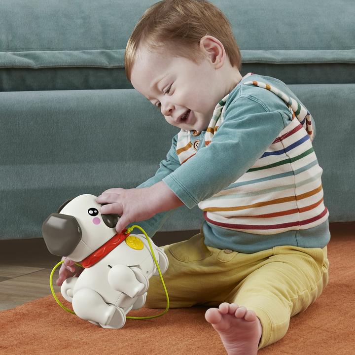 Produktbild Fisher-Price Spiel & Zieh Mops