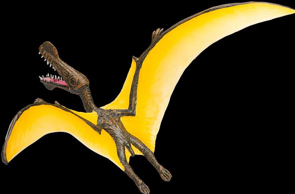 Actual product image Animal Planet Tropeognathus