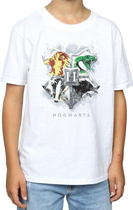Actual product image Boys Hogwarts Painted Crest T-Shirt (140, 146)
