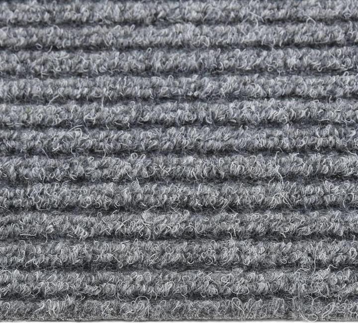 Immagine prodotto VidaXL Kasha (300 x 100 cm)