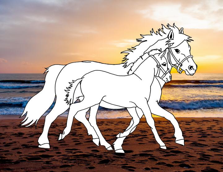 Image du produit Livre de coloriage Chevaux de rêve : Plage & mer