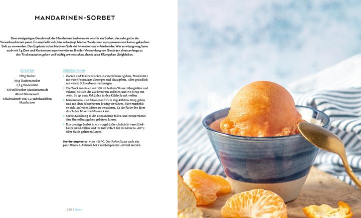 Image du produit Die vegane Eis-Bibel (Allemand, Lucy Allary, 2023)
