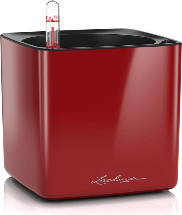 Immagine prodotto Lechuza Cubo lucido 14 (14 cm)