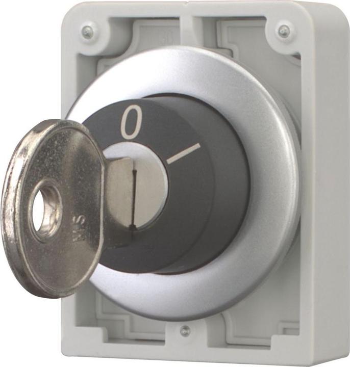 Immagine prodotto Eaton Chiave-operatore atto 30mm piatto 2 pos tast