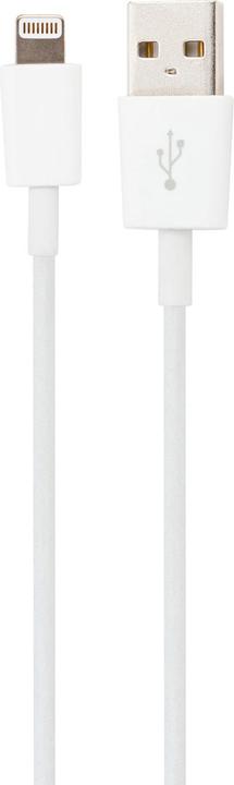 Produktbild Xqisit Charge & Sync Lightning Kabel (1 m, USB 2.0)