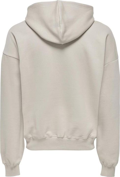 Actual product image Only & Sons Onsturner Life Vtg Hoodie Sweat (M)