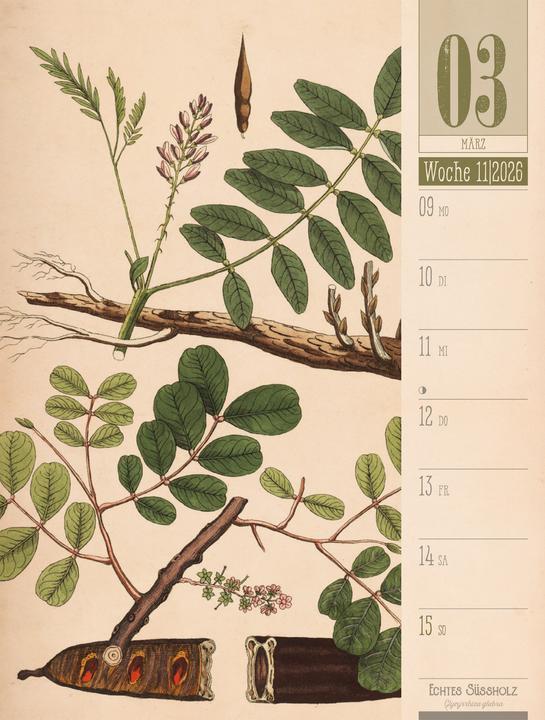 Immagine prodotto Culinarium - Küche, Kräuter, Kurioses - Vintage Wochenplaner Kalender 2026 (25 x 33 cm, Copertina rigida, Tedesco)