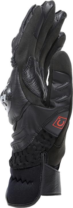 Actual product image Dainese Carbon 4 (Men, L)