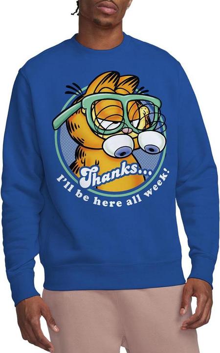 Actual product image Garfield Unisex Adult Performing Sweatshirt (M)