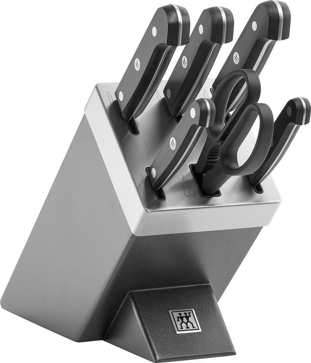 Image du produit Zwilling 1002455 Gourmet Bloc à couteaux auto-affûtés 7 pièces, gris