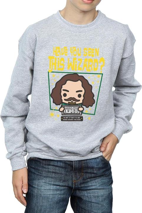 Produktbild Sirius Black Azkaban Junior Sweatshirt Jungen (140, 146)