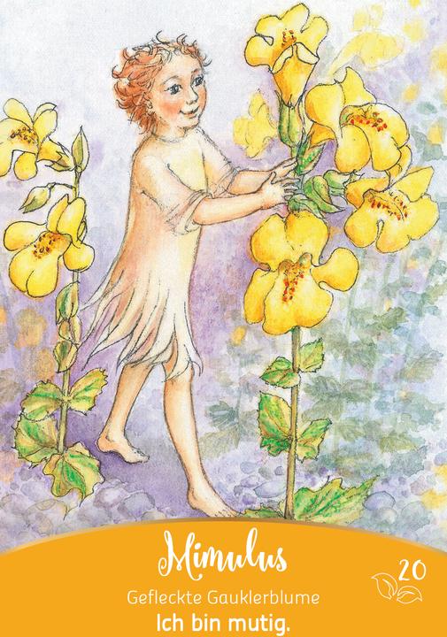 Actual product image Bachblüten-Botschaften - Wie die Seelenpflanzen dir helfen (German, Irene Drexler, 2024)