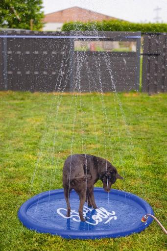 Actual product image Beeztees Bz Sprinkler Mat Stay Cool Bl (Dog pool)