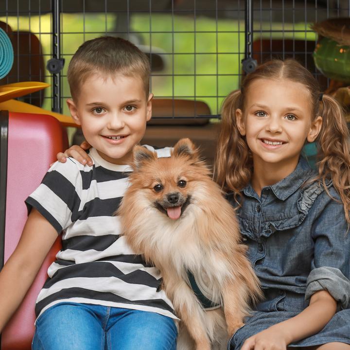 Immagine prodotto Relaxdays Cane recinto auto (Cane, Chiusura di sicurezza)