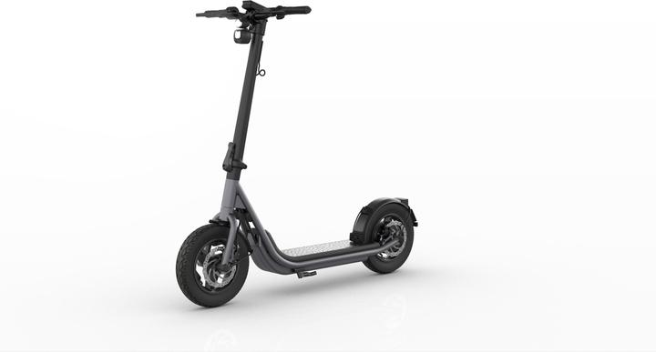 Produktbild Egret X (20 km/h, 60 km, 500 W)