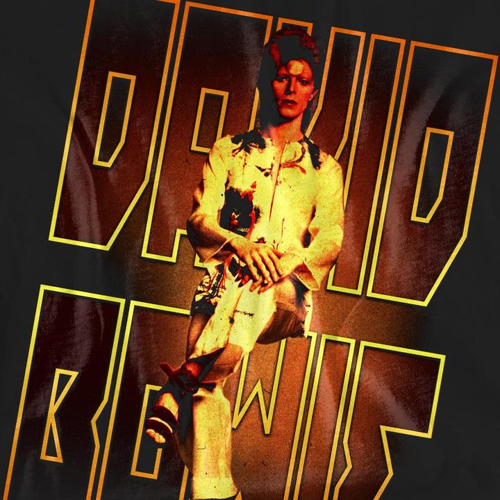 Actual product image David Bowie Unisex Adult Perched T-Shirt (XL)