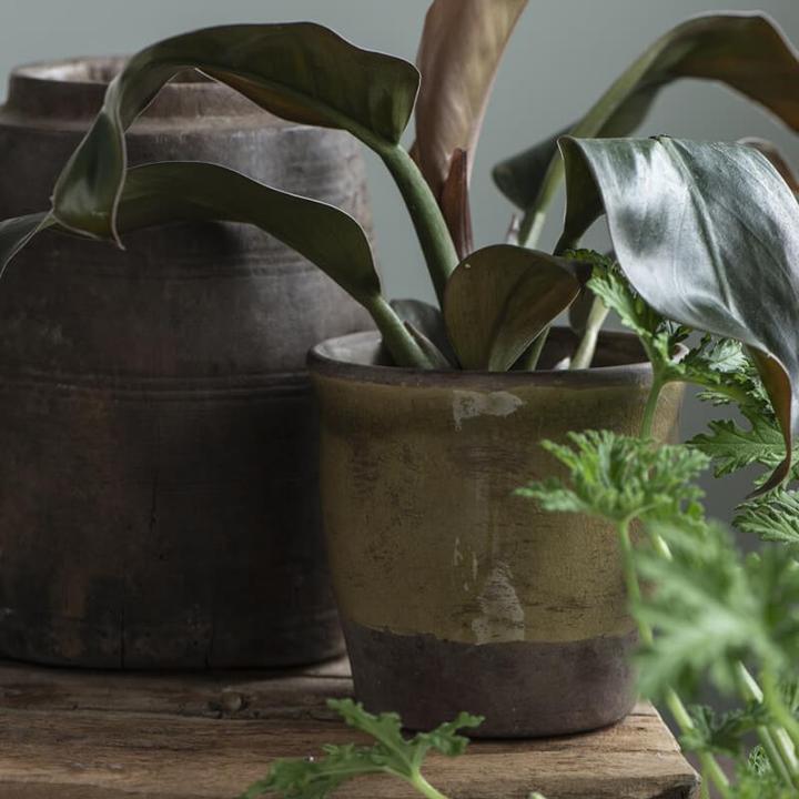 Image du produit Ib Laursen Céramique Pot Craquelé Vert S