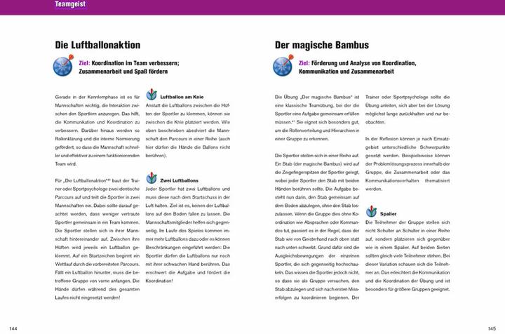 Produktbild Mentales Training im Leistungssport (Deutsch, Kai Engbert, Eva Zier, Tanja Werts, Anna Droste, 2011)