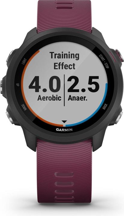Actual product image Garmin Forerunner 245 (42.30 mm)
