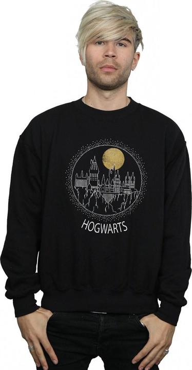 Actual product image Mens Hogwarts Circle Sweatshirt (M)