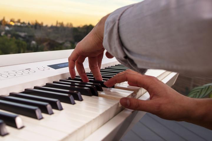 Immagine prodotto Roland FP-90X (88 Chiavi)