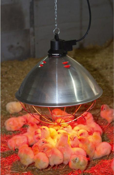 Actual product image Kerbl Infra-red radiant warmer