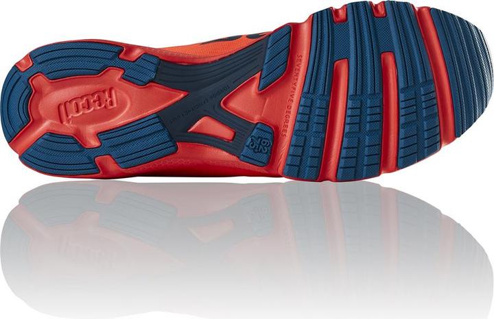 Actual product image Salming Running shoe Enroute 3 Men (44 2/3)