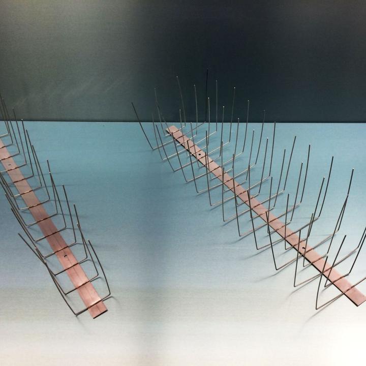 Actual product image Green Split Pigeon defence made of stainless steel V2A 4-row