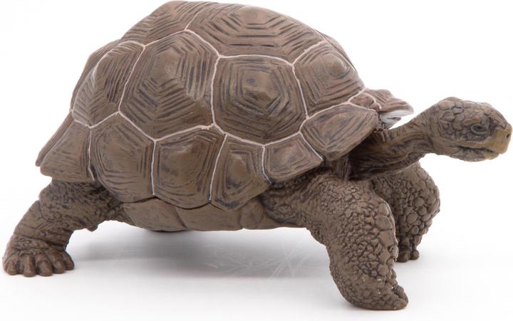 Image du produit Papo Tortue géante des Galápagos