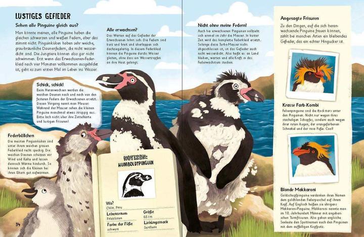 Produktbild Was für Sachen Pinguine machen (Deutsch, Huw Lewis Jones, 2024)