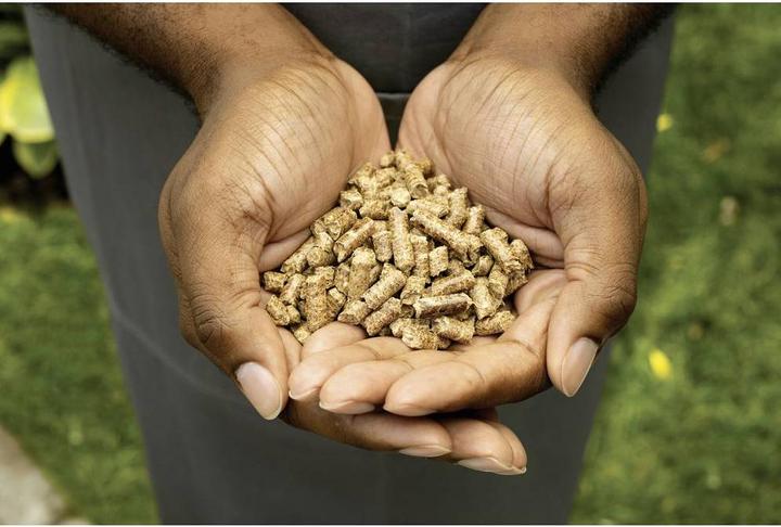 Produktbild Ninja Woodfire Pellets Robust Blend (0.91 kg)