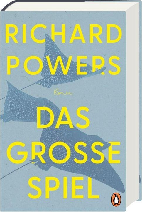 Actual product image Das grosse Spiel (German, Eva Bonné, Richard Powers, 2024)