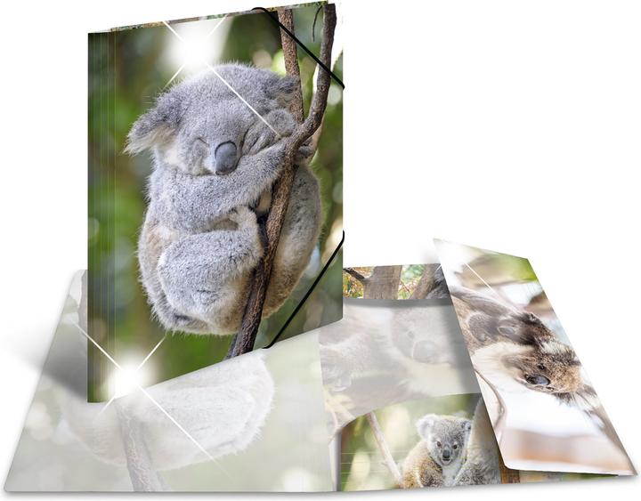 Image du produit HERMA Porte-documents A3 Motif (A3, 1 x)