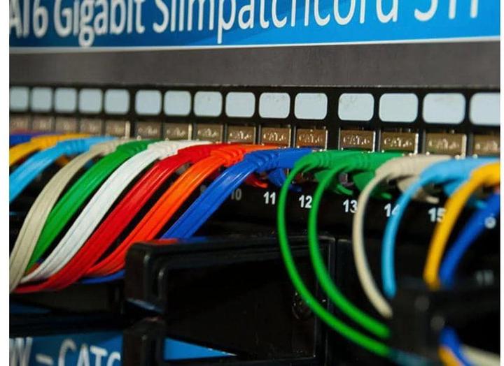 Actual product image Wirewin Network cable, round (UTP, CAT6, 1.50 m)