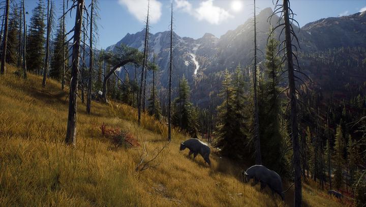 Actual product image THQ Way of the Hunter (PC, EN)