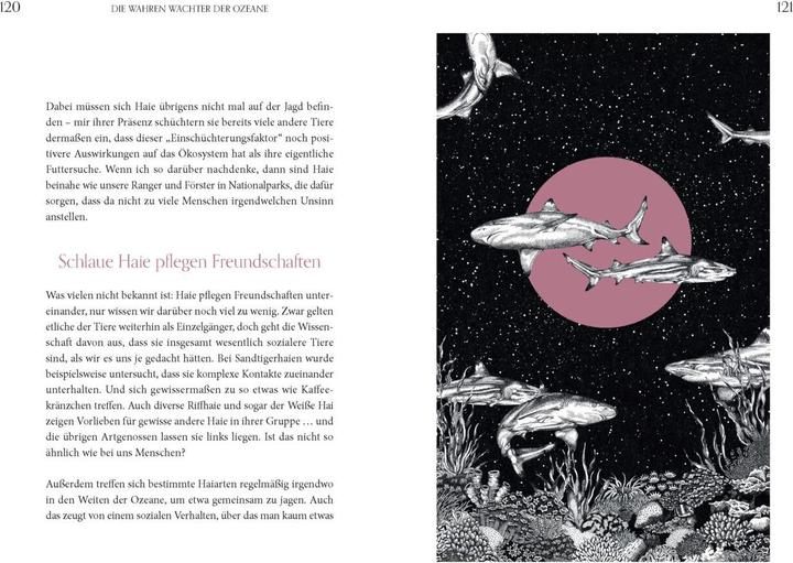 Immagine prodotto Faszination Haie - Wächter der Meere (Tedesco, Michael Stavaric, Michèle Ganser, 2024)