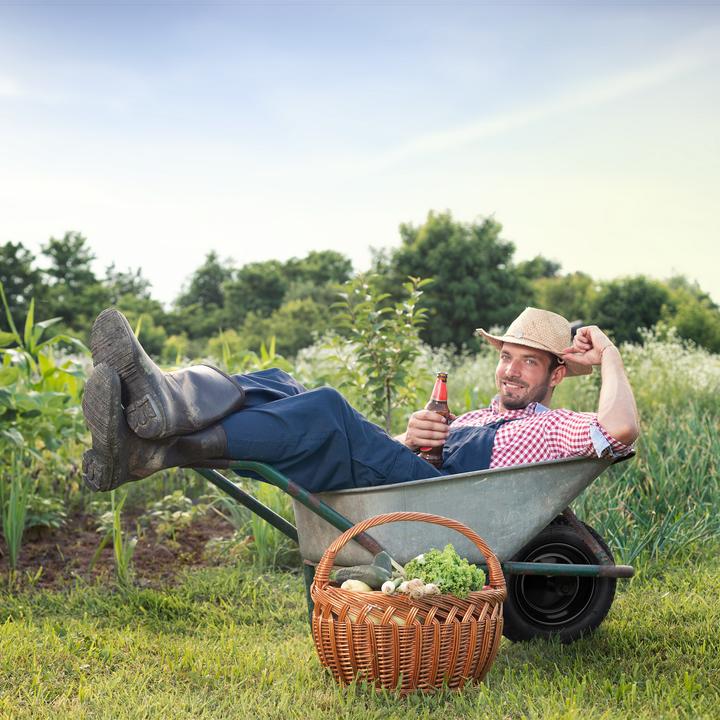 Image du produit Relaxdays Roue-de-brouette