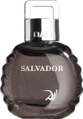 Salvador Dalí Pour Homme (Eau de Toilette, 100 ml)