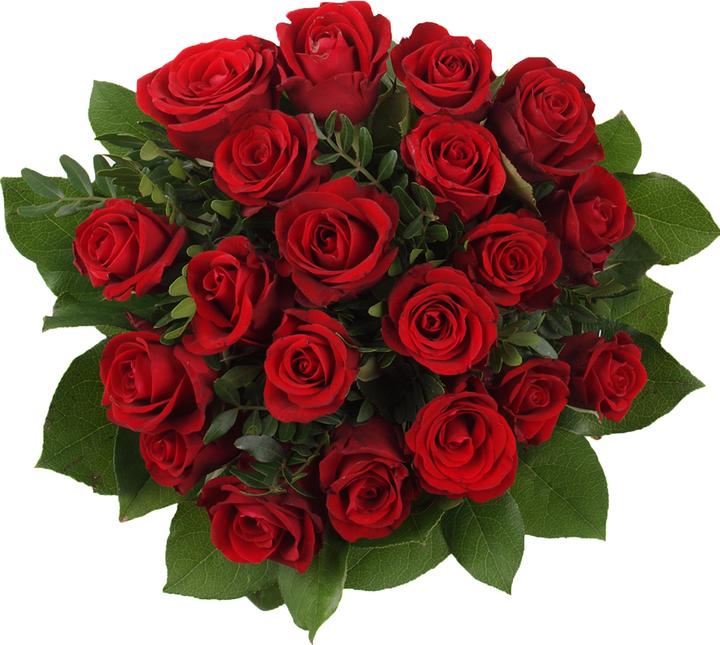 Immagine prodotto Floramall 20 rose rosse (Fiori recisi)