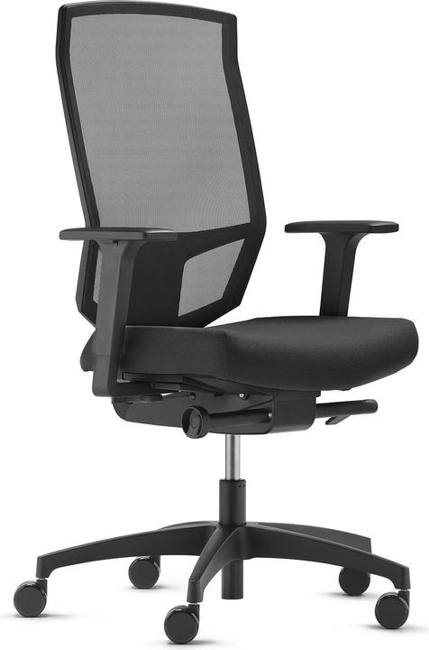 Image du produit Dauphin just Evo Mesh