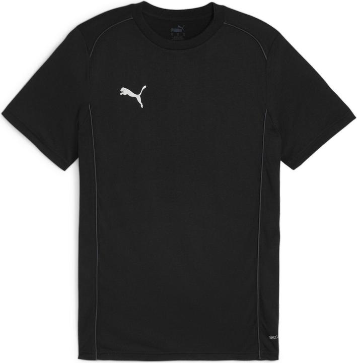pumablackpumasilver