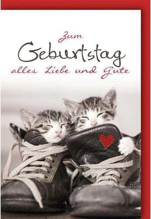 Produktbild Braun + Company Karte Midi Geburtstag (1 Stk.)