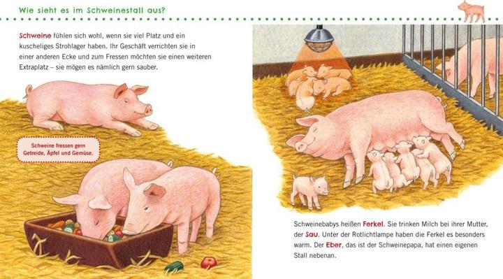 Actual product image Unkaputtbar: Erstes Wissen: Unser Bauernhof (German, Petra Klose, 2022)
