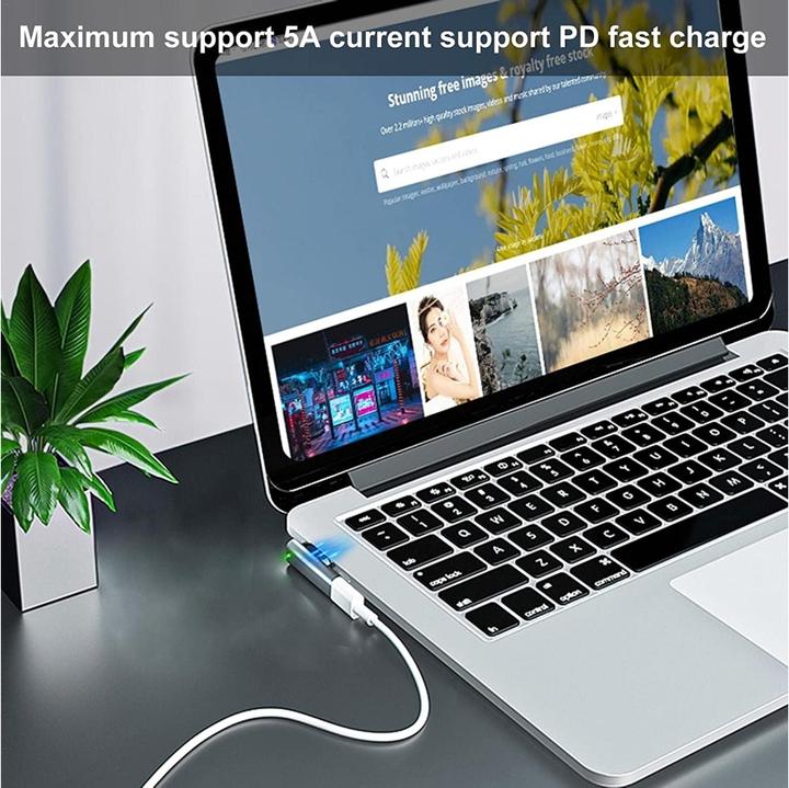 Actual product image PowerGuard USB-C to MagSafe 1 Adapter (USB Type C)