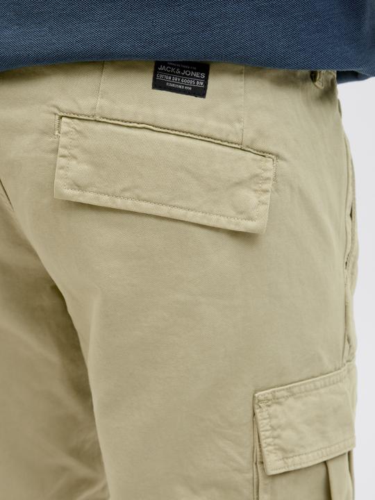 Actual product image Jack & Jones Plus Size Loose Fit Cargo Shorts Cargo Shorts (48)