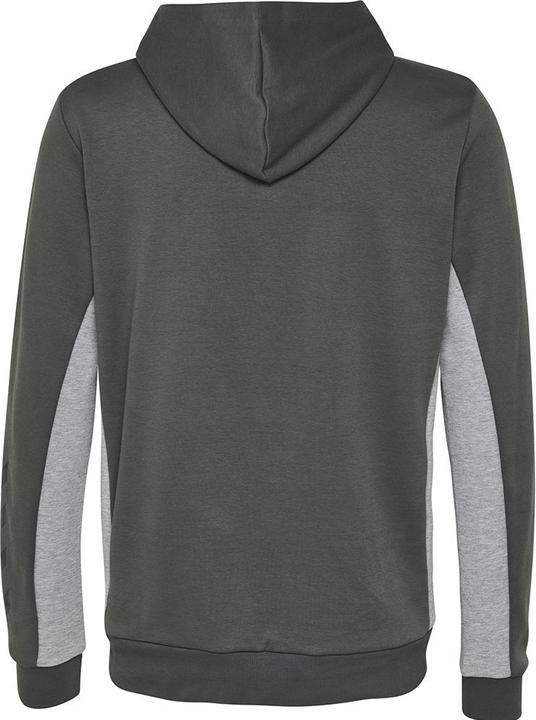 Image du produit hummel Maestro Zip Hoodie (M)